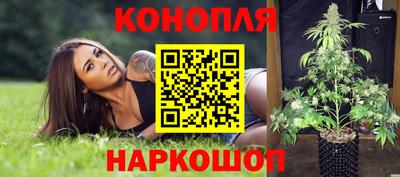 крисы Славянск-на-Кубани