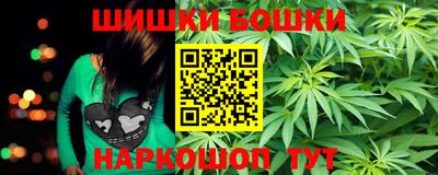 мдпв Славгород