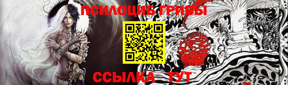 Орск  Галлюциногенные грибы Psilocybine cubensis  Вход с VPN 